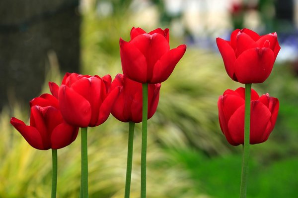 Couverture zinguerie à Annecy : votre projet entre de bonnes mains