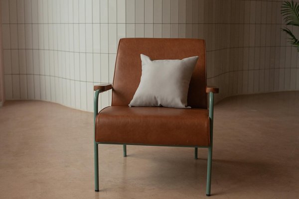 L'évolution des piscines écologiques en France